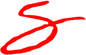 Shannon Nicole Art Logo